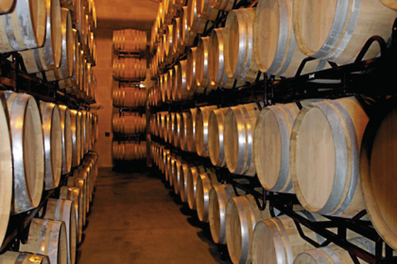 BODEGAS HACIENDA DEL CARCHE - photo 1