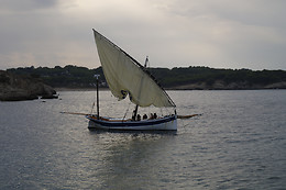 TELA MARINERA