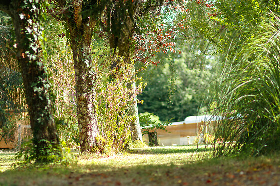 L'Envol - photo 0