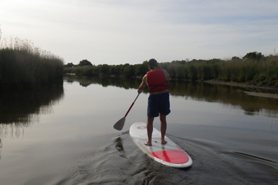 ECO PLAISANCE DU DELTA - photo 1
