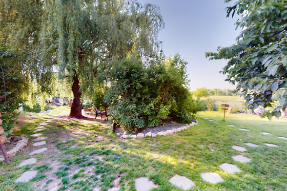 Le Souffle du Saule - photo 55