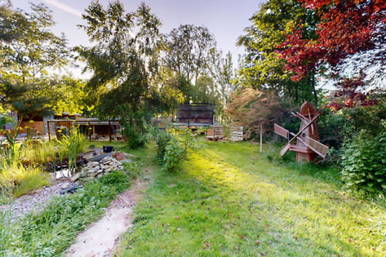 Le Souffle du Saule - photo 59