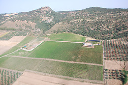 BODEGAS MOROSANTO