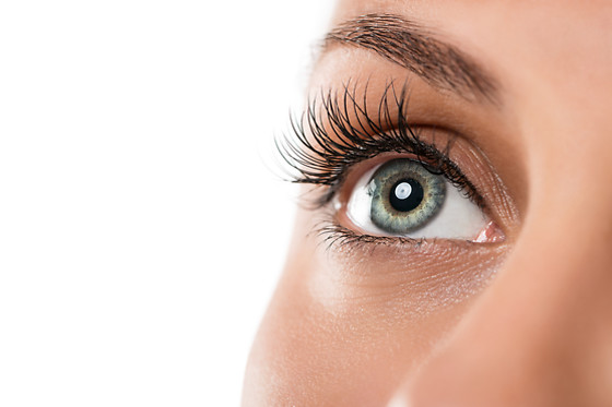 CLINICA ECLIPSE - photo 15