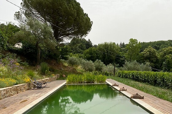 Podere di Maggio - photo 4