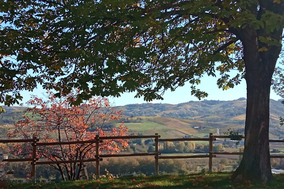 Cascina Perfumo - photo 5