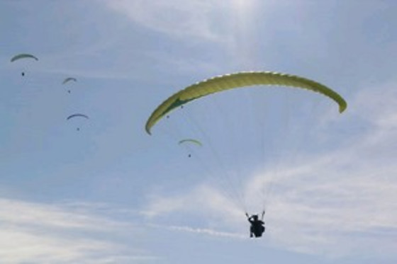 Abruzzofly - Blue wind - photo 2