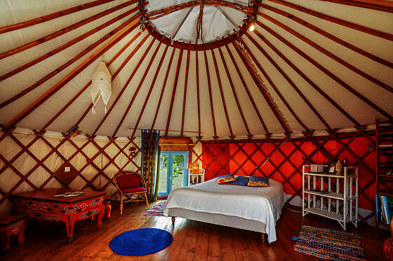 Yourtes d'hôtes - photo 2