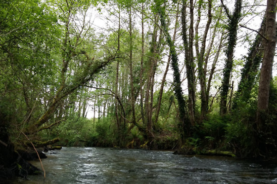 Canoe Land - photo 1