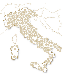 Buon Compleanno