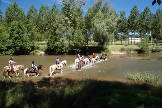 CABALLOS DE LA ARLANZA - photo 0