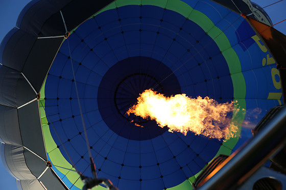 Pearl Balloon - photo 8