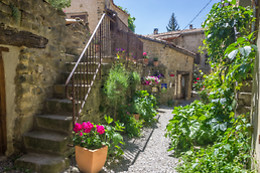 Les Roses Tremières
