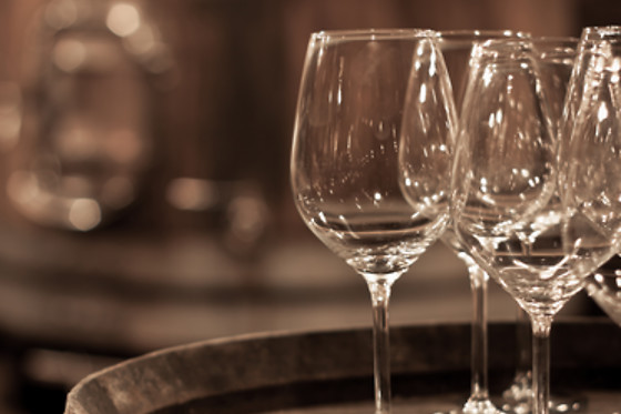 BODEGAS CAÑALVA - photo 3
