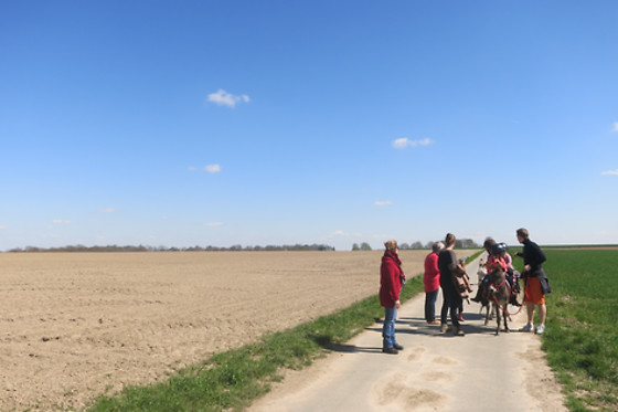 Les Ânes de François - photo 4