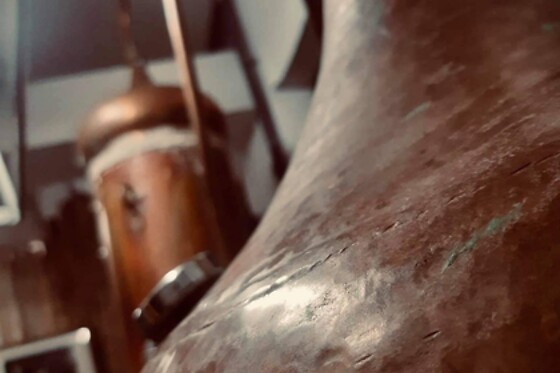 La distillerie du Moulin Du Loup - photo 4