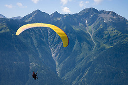 Les Volatiles