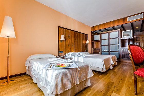 HOTEL DOÑA BRIGIDA - SALAMANCA FORUM - photo 22