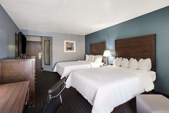 Online Booking EPS - photo 10