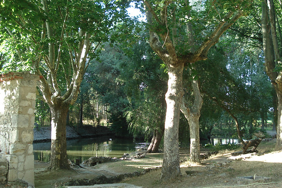 EL RINCON DEL LABRADOR - photo 11