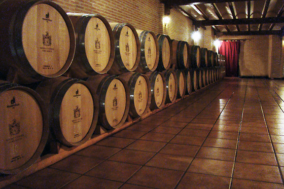 BODEGAS Y VIÑEDOS PEDRO GARCIA - photo 0
