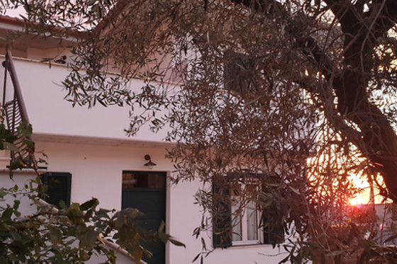 B&B Il Falco e l'Ulivo - photo 1