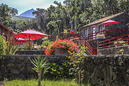 ALDEIA DAS ADEGAS