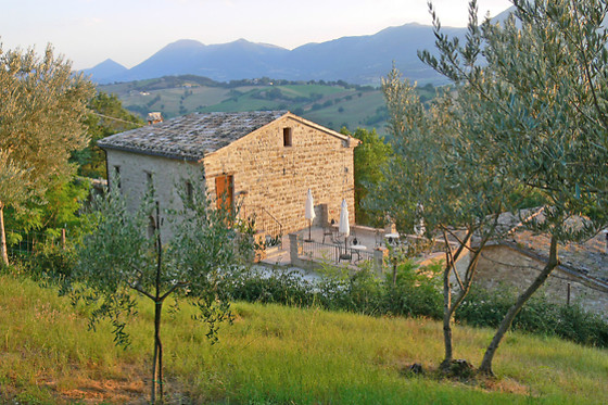 L'Istrice - photo 1