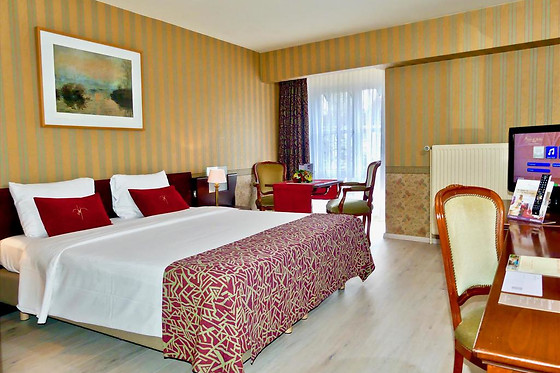 Golden Tulip Hotel de' Medici - photo 17