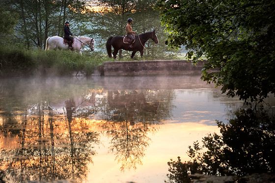 Haras de la Cense - photo 3