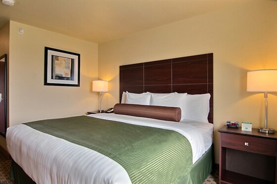 Online Booking EPS - photo 7