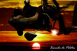 CORVUS AIR