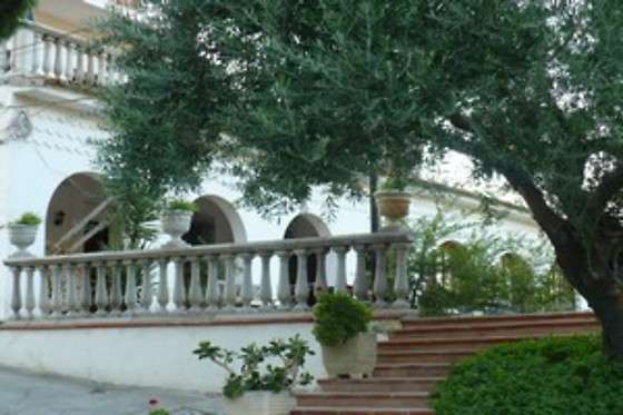 Agri-Club - photo 8