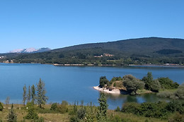 CASA LOVELY CAT'S ROOM