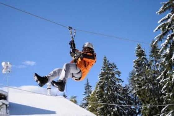 Hotel Rifugio Sores - photo 0