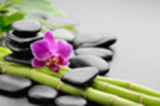 ARMONIA TERAPIAS NATURALES, ESTETICA NATURAL Y ESOTERISMO - photo 10