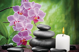 CLINICAS VITALFISIO
