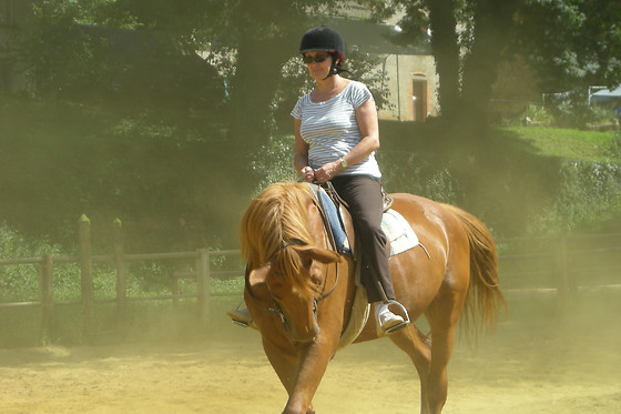 Ferme du Lac - photo 8