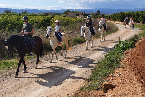 CENTRO HÍPICO CABALLOS NAVARRO - photo 4