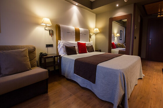 HOTEL SPA BALFAGON - photo 6