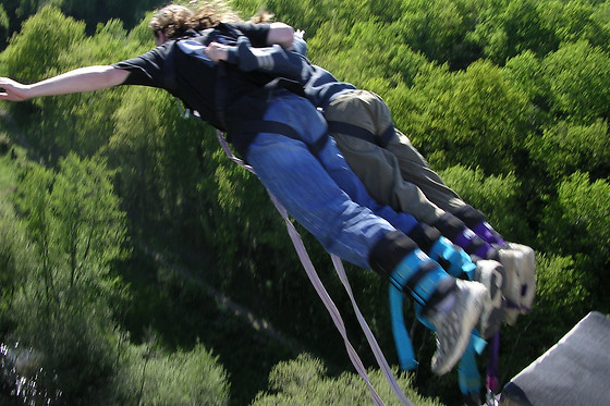 Elastique-Record - photo 1