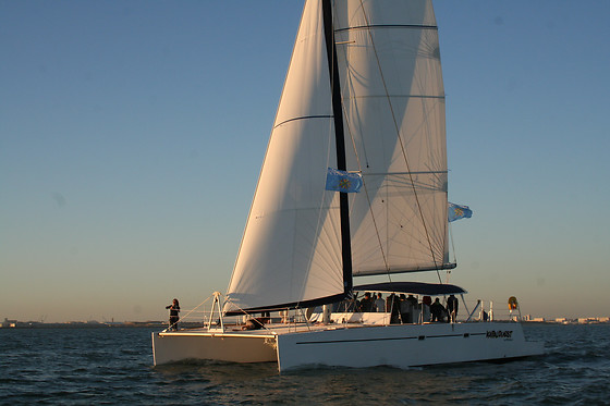 Kapalouest - photo 2