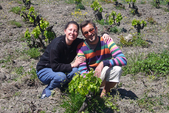 Le domaine Grand Guilhem - photo 11