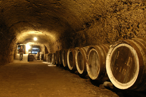 BODEGAS MONOVAR - photo 4