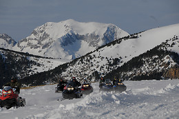 SLEDS