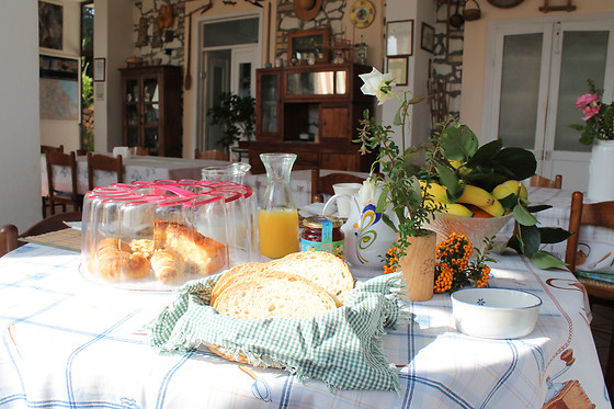 Agriturismo Montupoli - photo 8