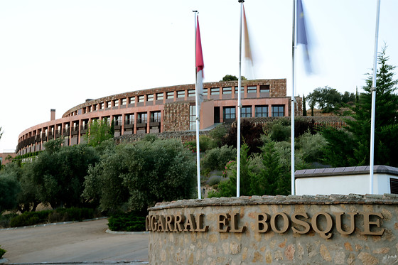 HOTEL CIGARRAL EL BOSQUE - photo 16