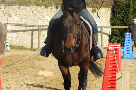 La houssine - photo 5