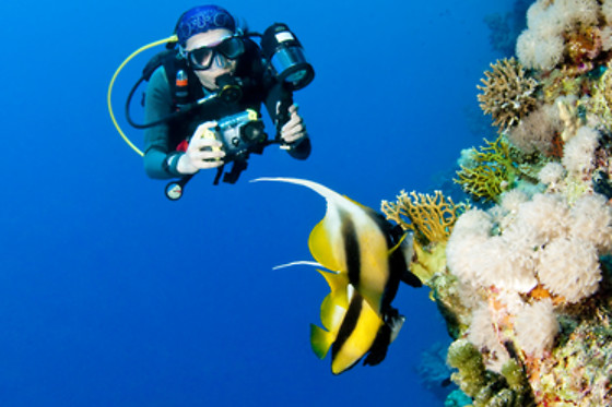 SOTACERO DIVING - photo 4