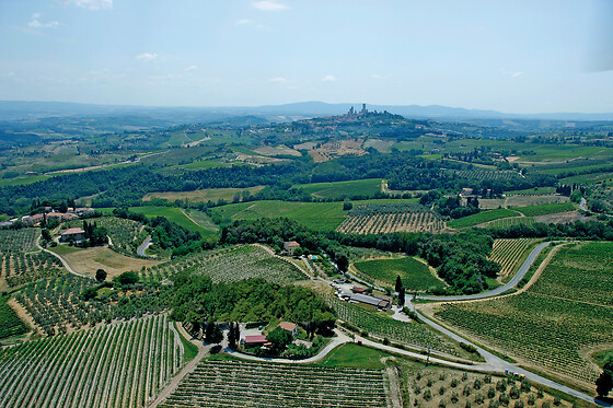 Azienda Agricola San Quirico - photo 0